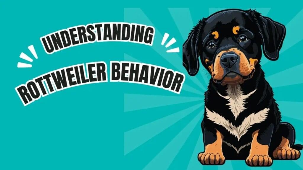 Understanding Rottweiler Behavior