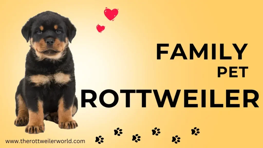 Mini Rottweilers as Family Pets: