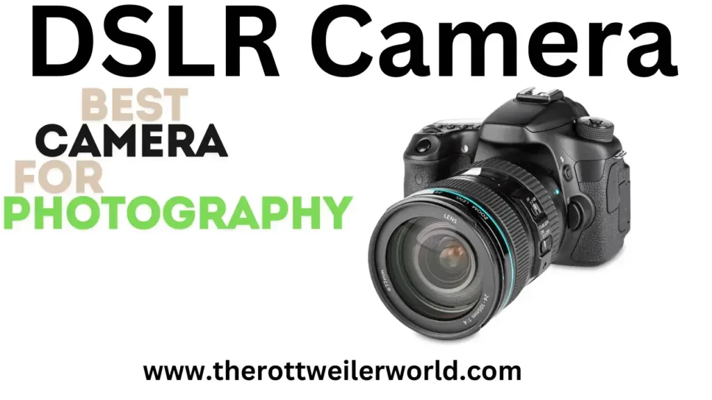 Using the Right Camera and Equipment