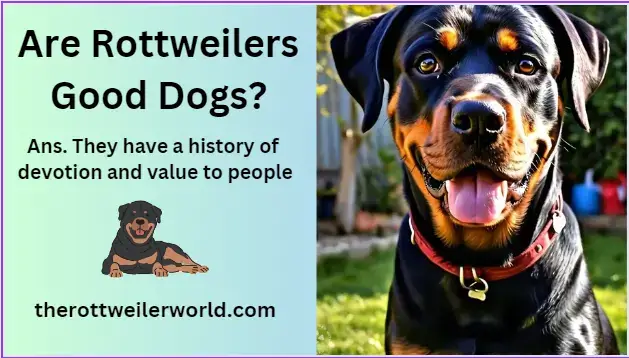 Are Rottweilers Good Dogs?